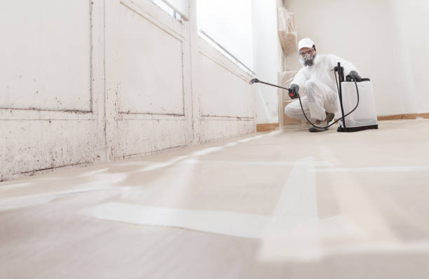 24/7 Emergency Mold Remediation experts in Denton, TX