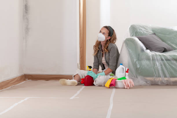 Reliable Mold Remediation contractor in Denton, TX by Car Mold Remediation